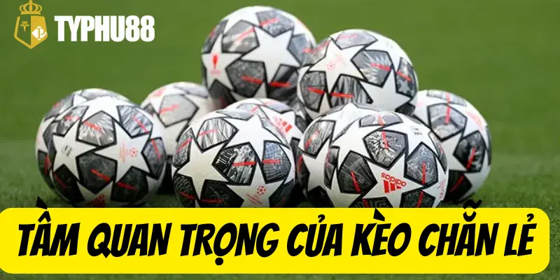 Tầm Quan Trọng Của Kèo Chẵn Lẻ Trong Cá Cược Thể Thao