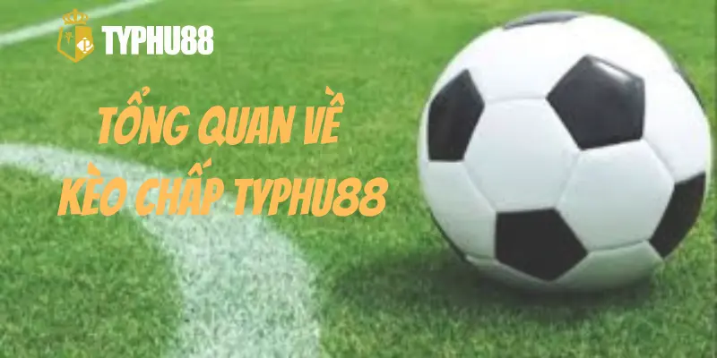 Tổng quan về kèo chấp Typhu88